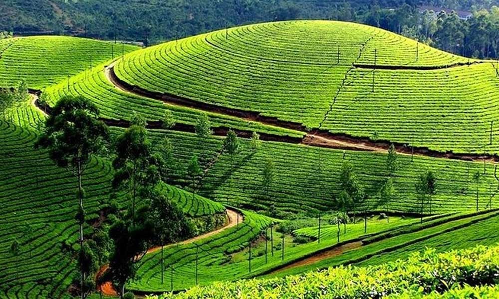 Vagamon