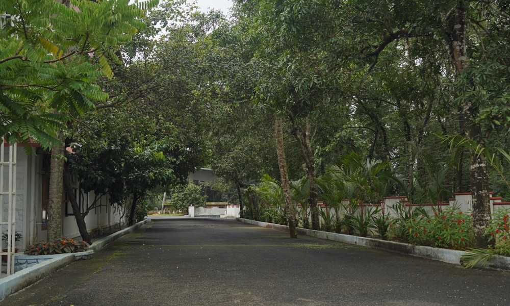 Banyan Pathways