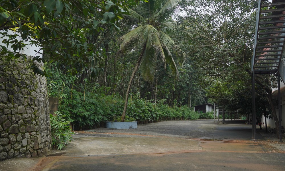 Banyan pathways