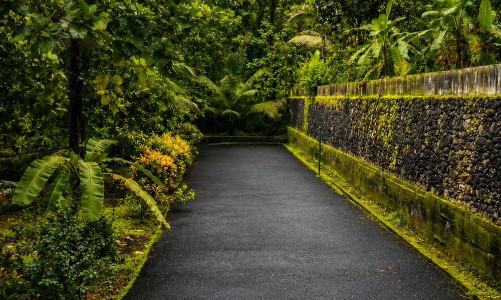 Banyan Pathway