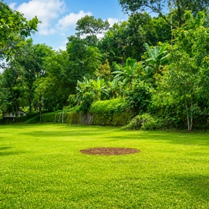 Willow Lawn. Open party Area 