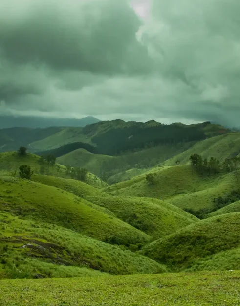 vagamon-meadows-1920x1080-1
